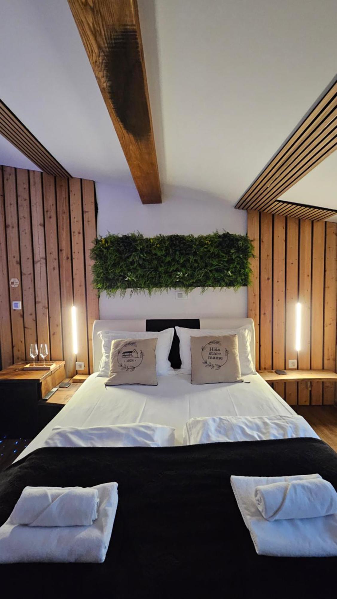 Bed and Breakfast Hisa Stare Mame Kamnik Exterior foto